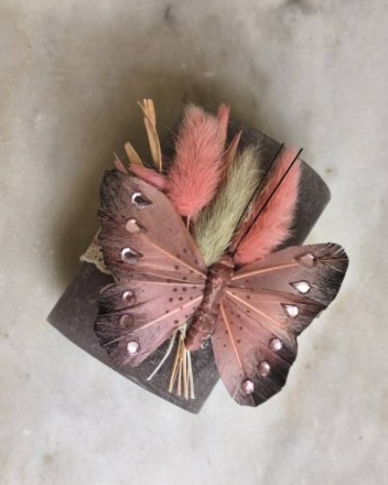 3  γ  κερι πεταλουδα (1)